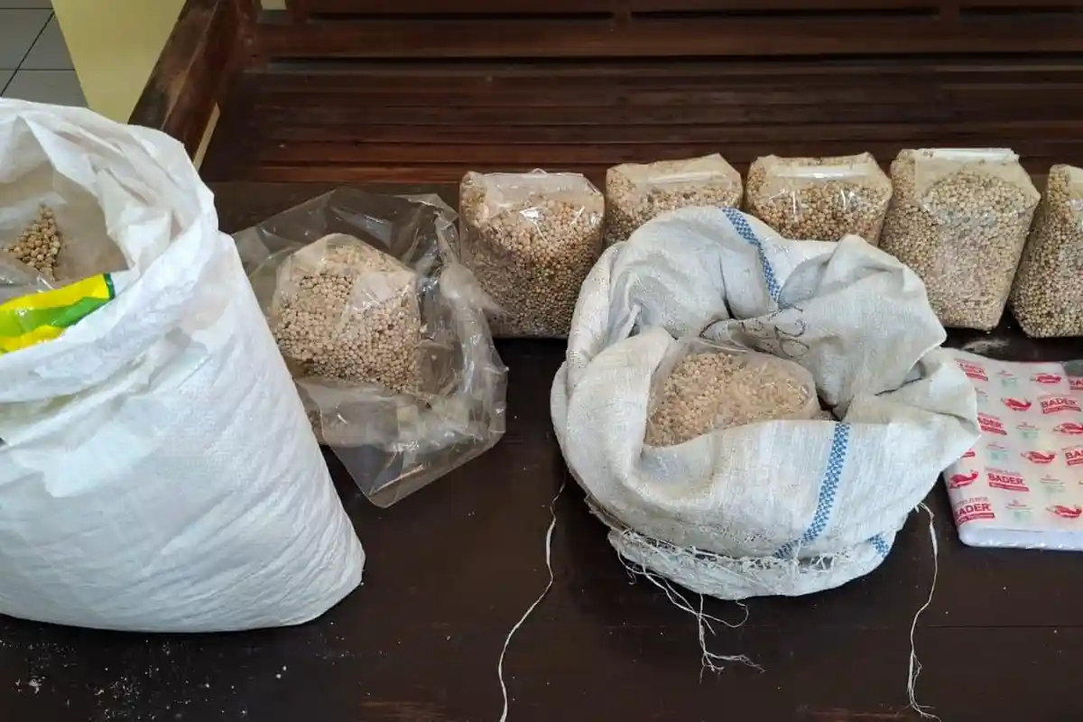 Polisi Ungkap Peredaran Merica Oplosan di Wonosobo, Dua Pelaku Asal Cirebon Ditangkap